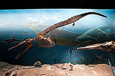 《天命奇御2》正式登陆Xbox 支持多平台智能分发