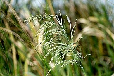 Xbox硬件营收同比增长166% 推动游戏业务增长16%