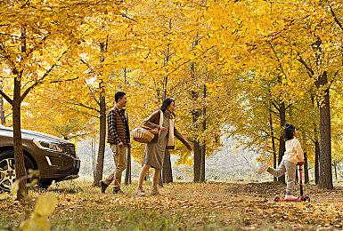 《赛博朋克2077》Mod解锁新区域 汽车旅馆香艳撩人